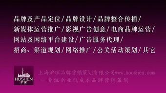 2019年上海十大品牌策劃與營(yíng)銷咨詢公司最新排名及服務(wù)解析